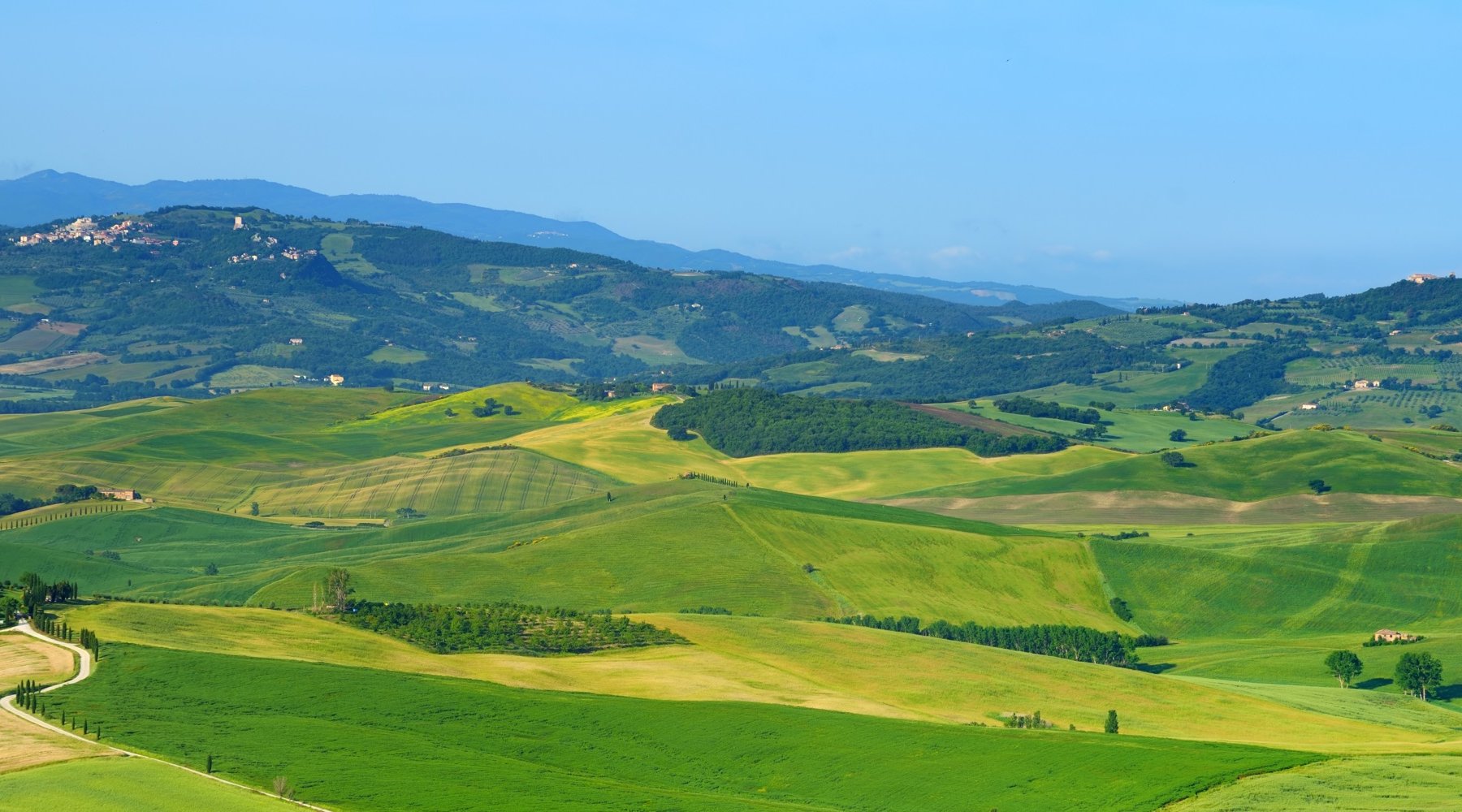 Gestione e controllo del territorio, ambiente, patrimonio, impianti e strutture comunali. 